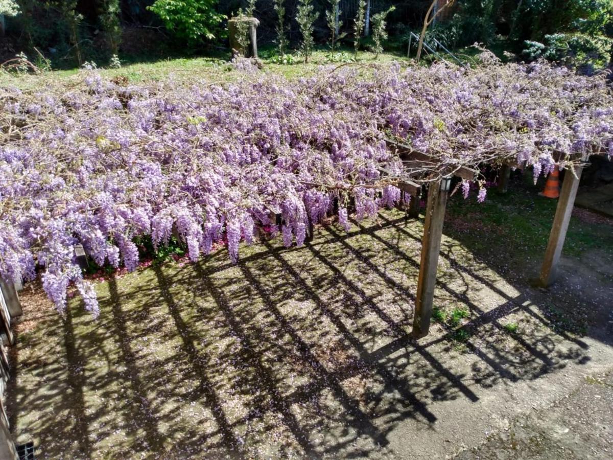 Apartamentos Aromas De Gramado - Bairro Centro Exteriör bild